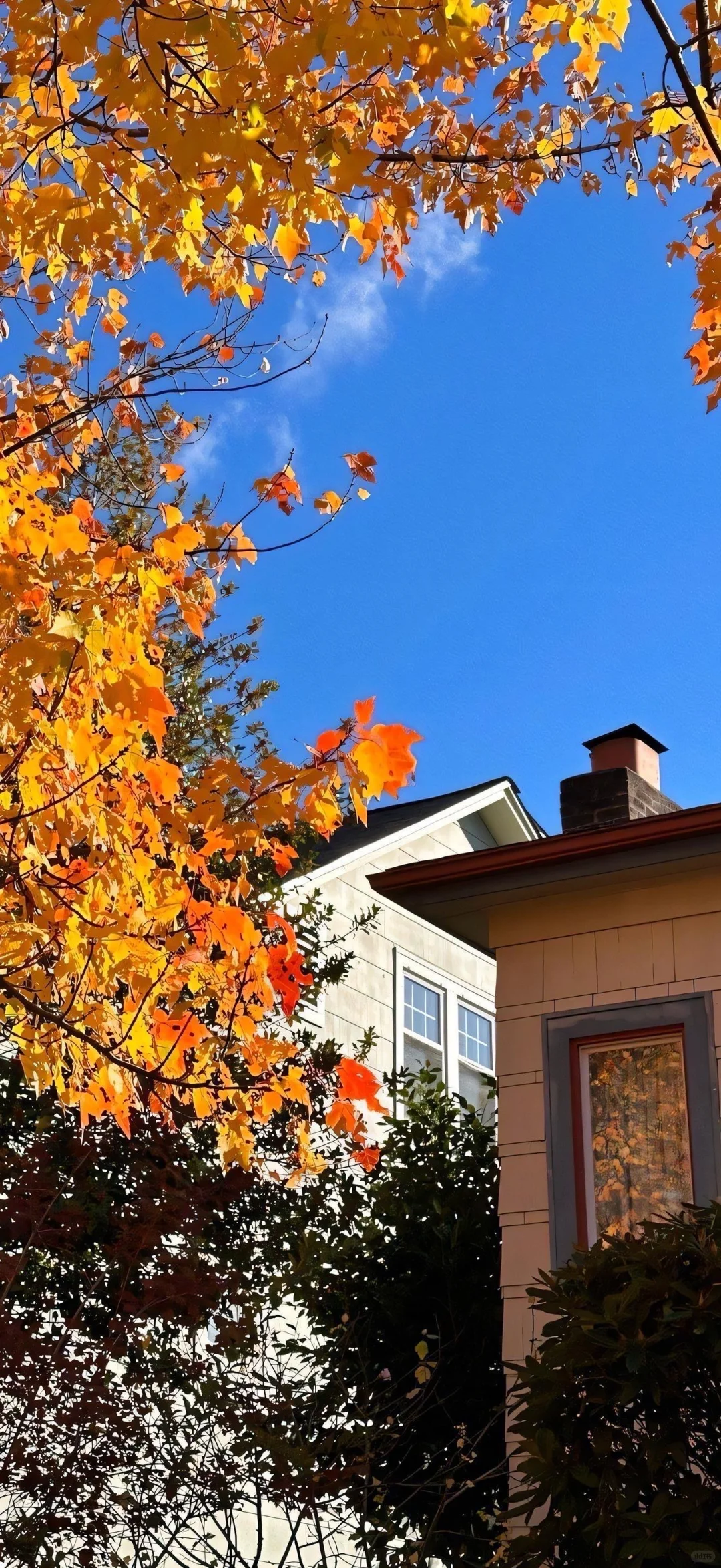 适合🍎苹果ios26裸眼3D高清全屏壁纸