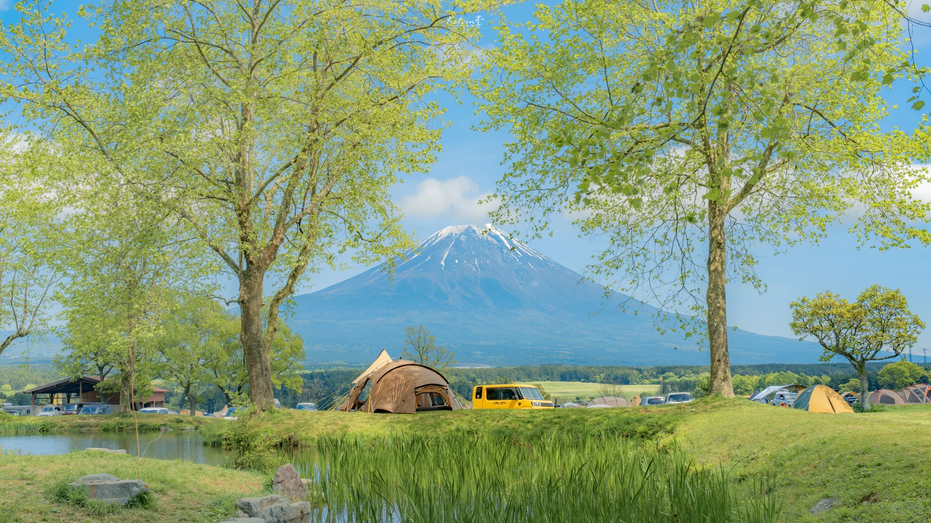 电脑壁纸｜欢迎公主来上班辛苦了