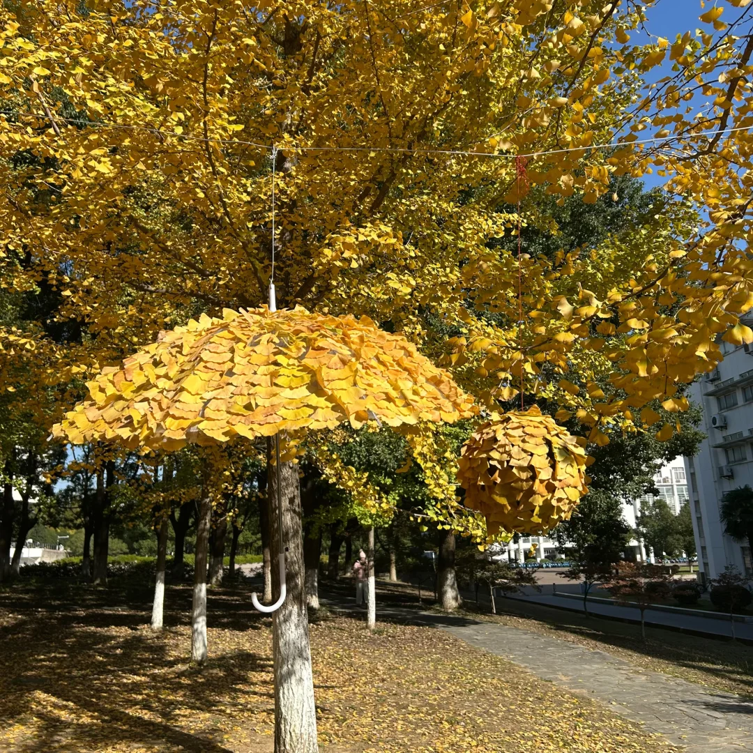 生活在师范院校的幸福感