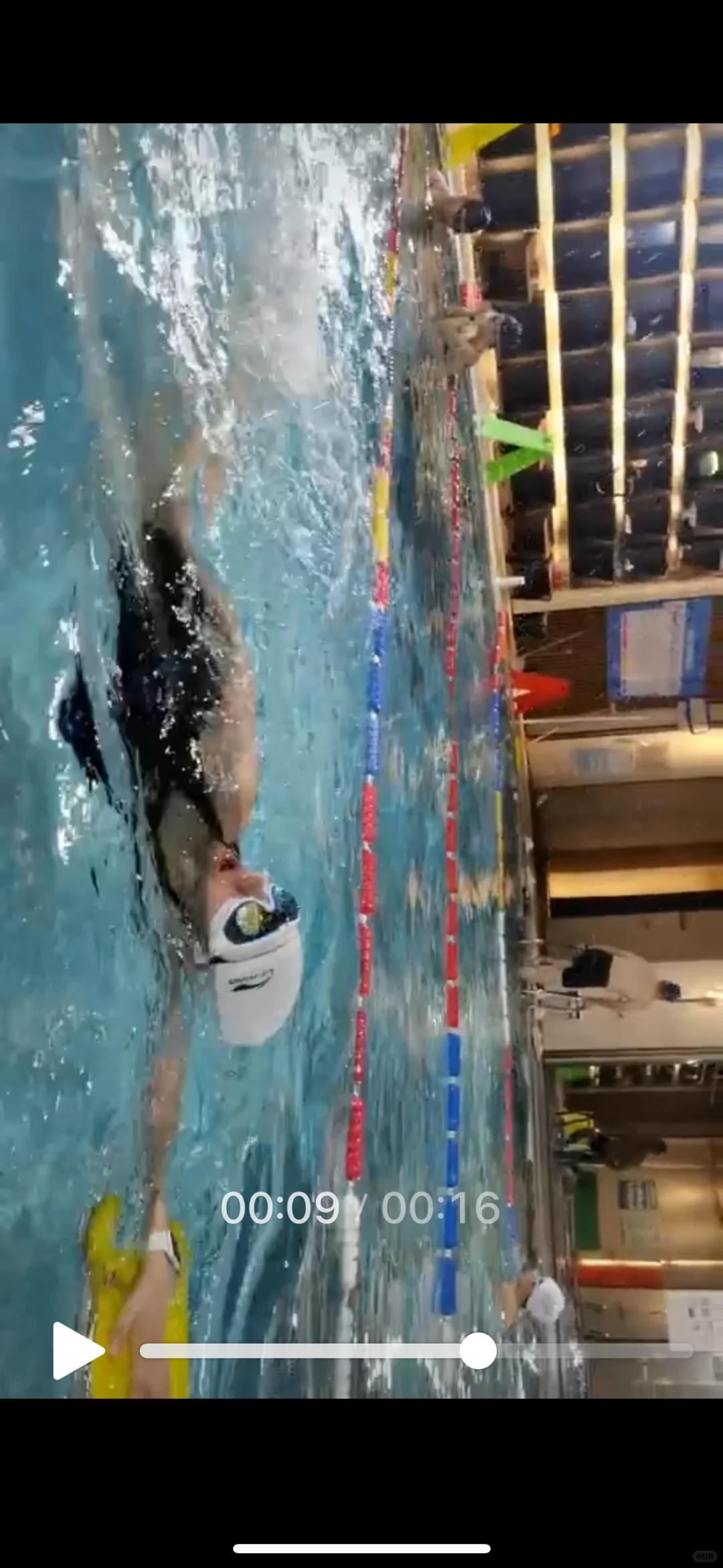 自由泳第五次课