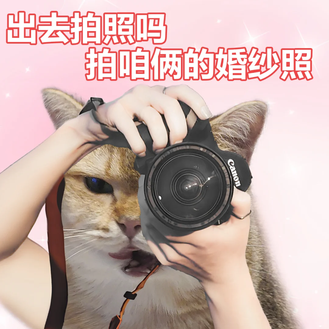 没有丫头能拒绝这样的表白。