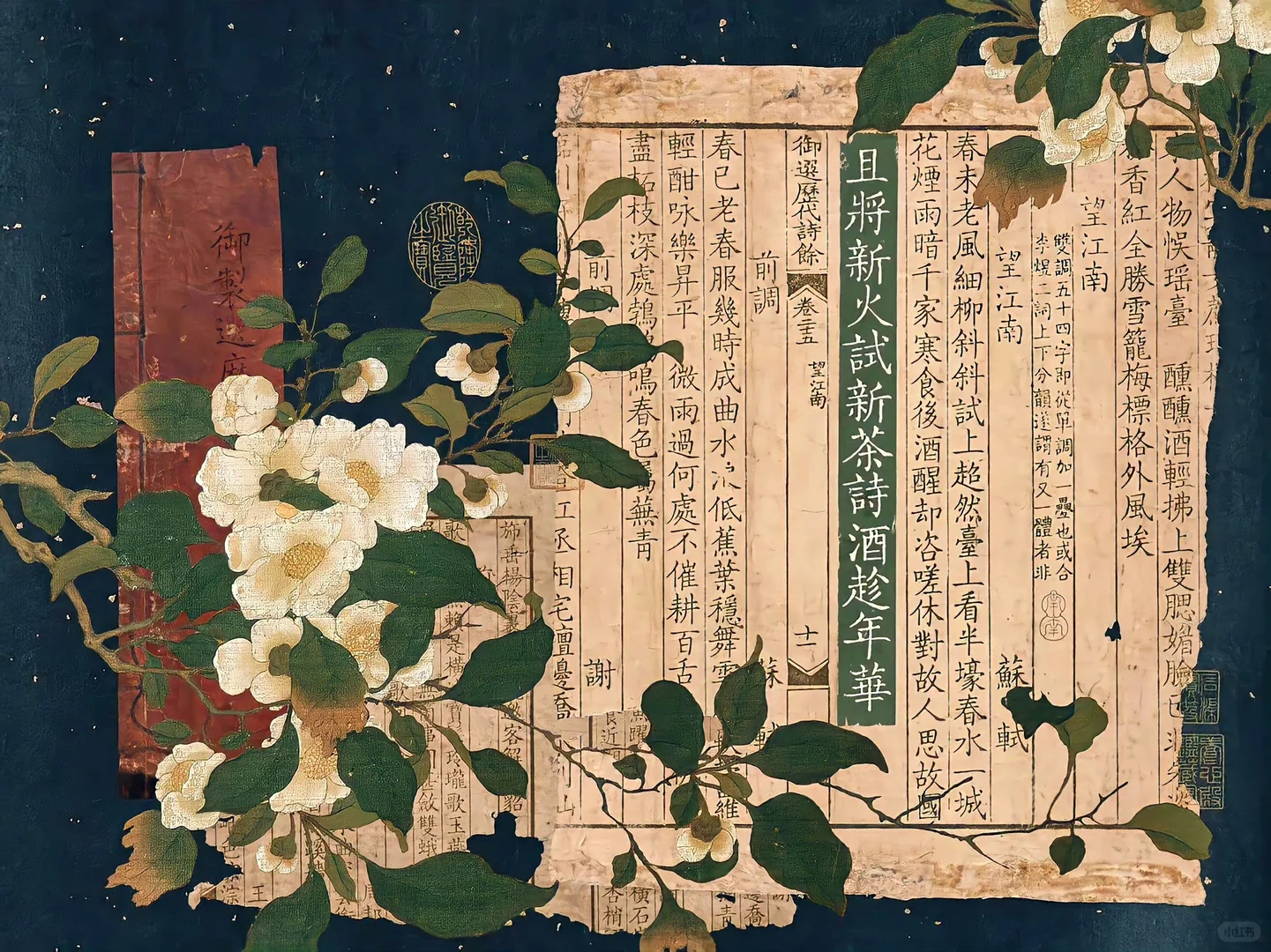 电脑ipad壁纸丨且将新火试新茶