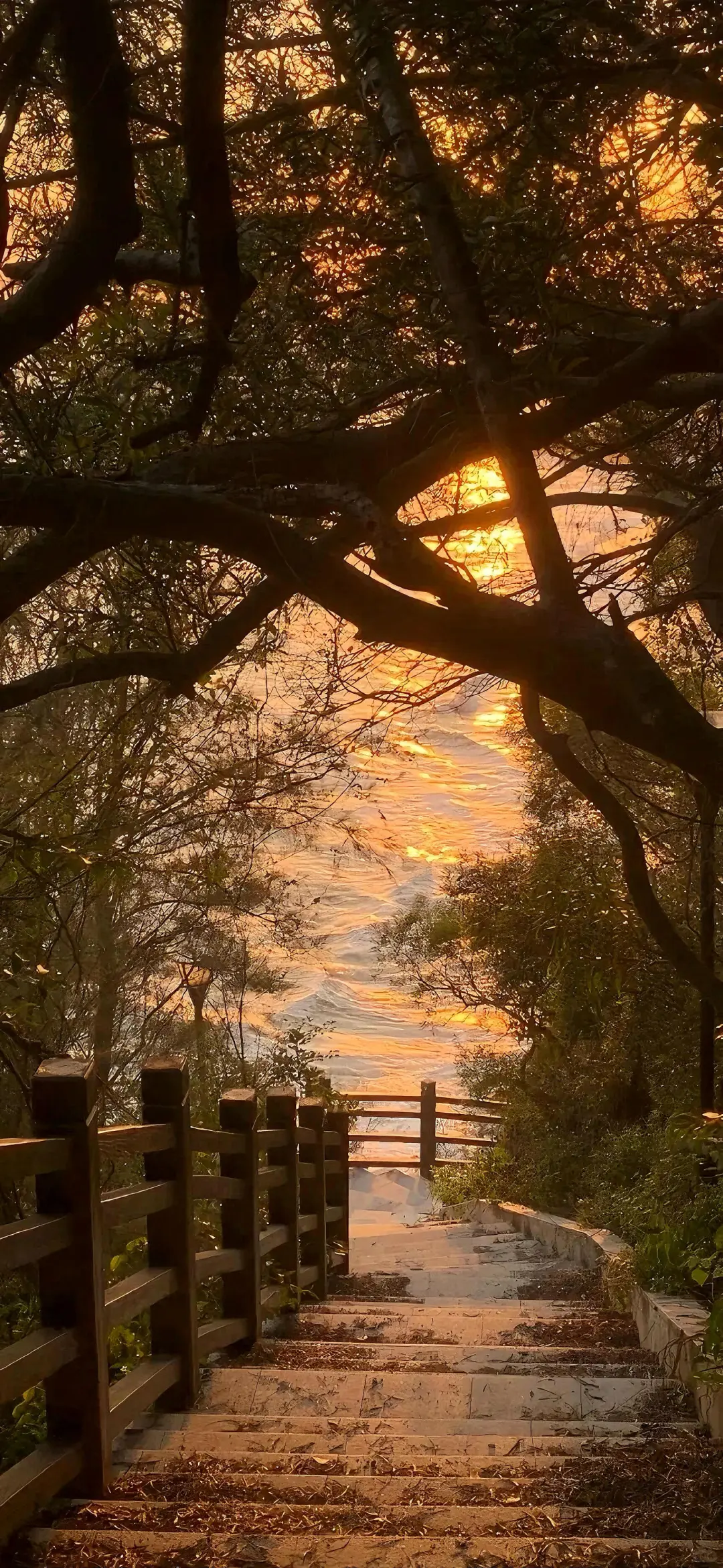 ✨高清壁纸｜背景图 琥珀鎏金