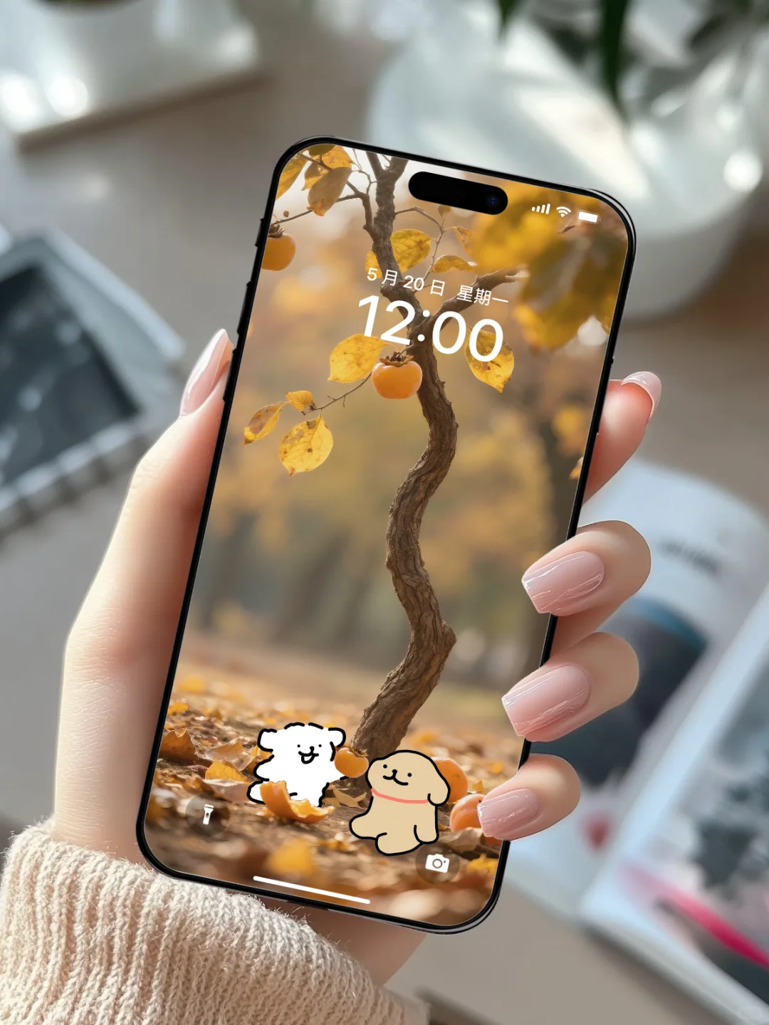 YiY壁纸分享｜秋日小狗｜No.95