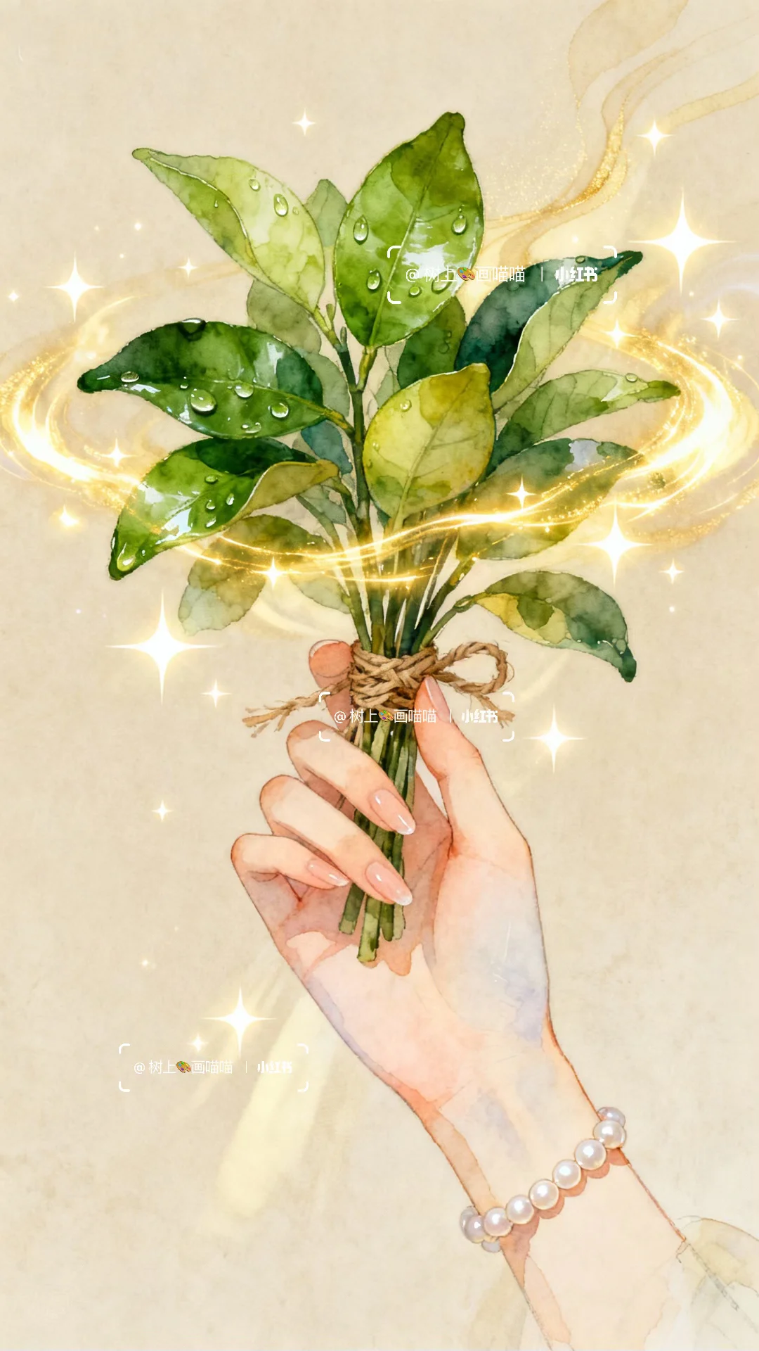 柚叶携运，向光而行