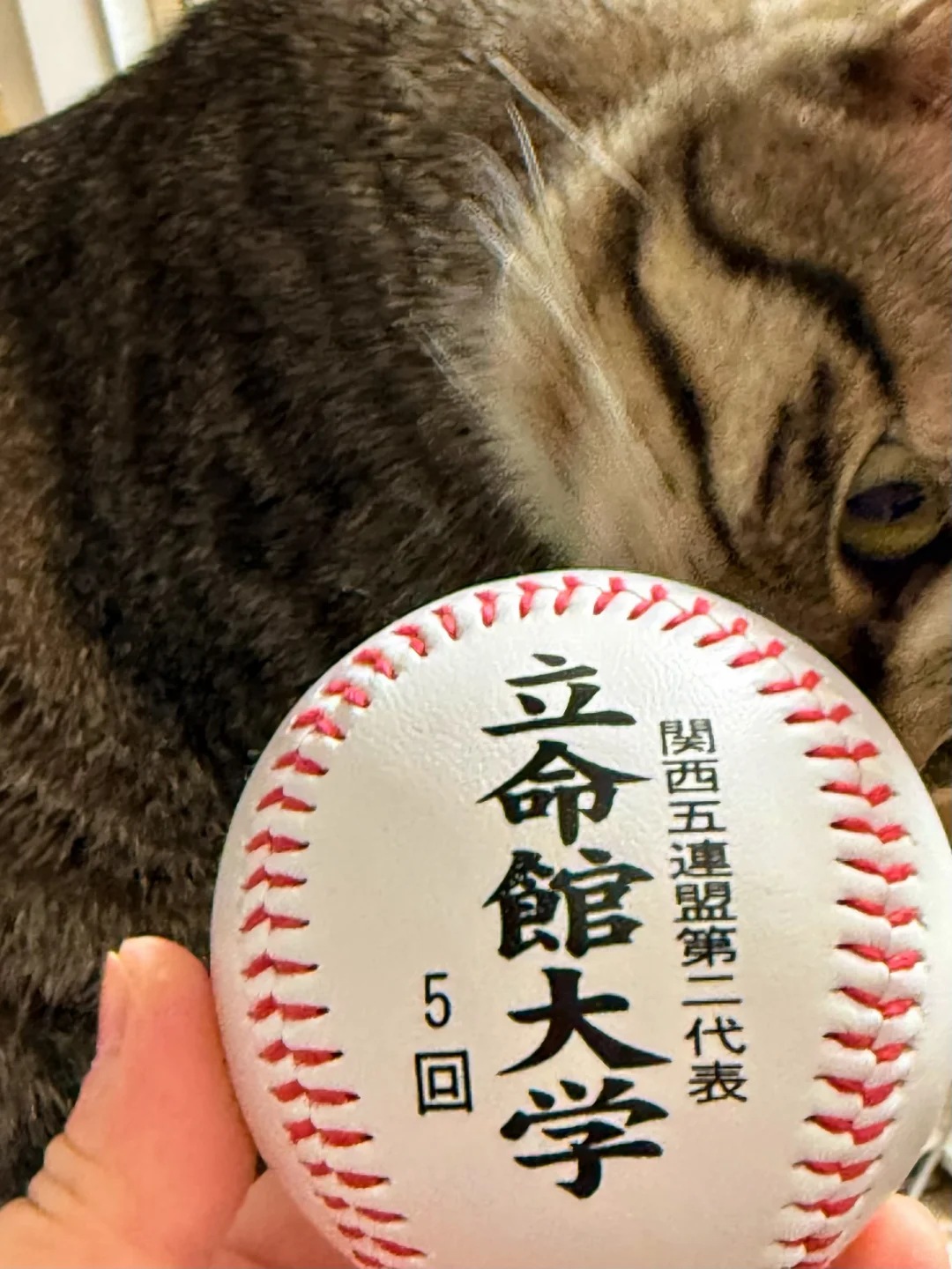 天使老师把我的命也立住了😭😭😭