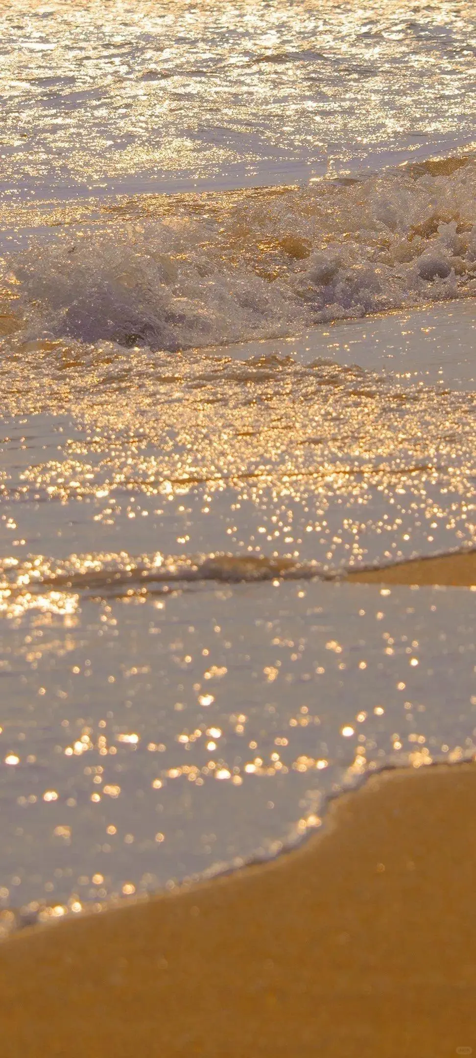 ✨高清壁纸｜背景图 琥珀鎏金