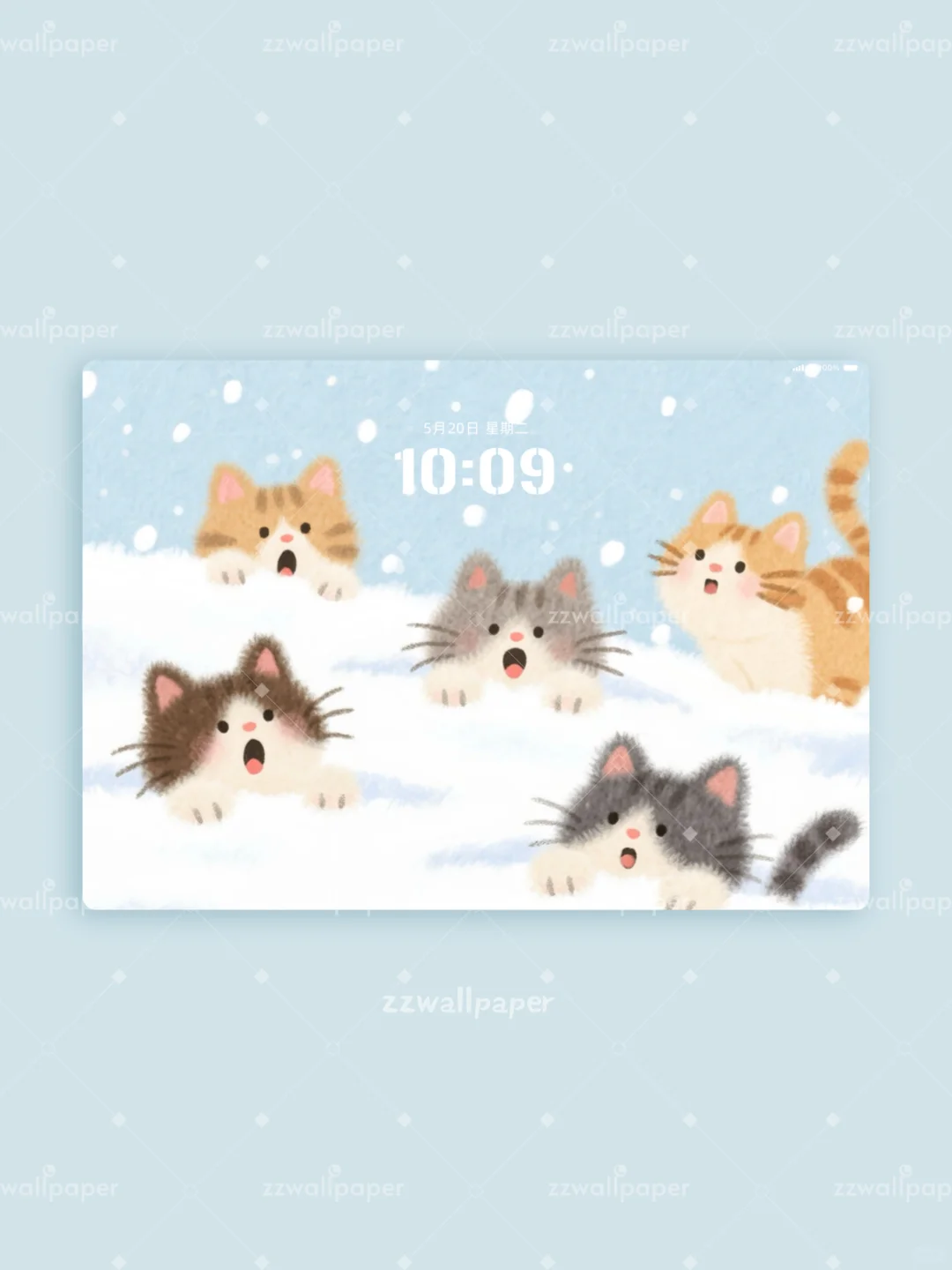 猫猫是发甜的冬天❄️｜平板壁纸