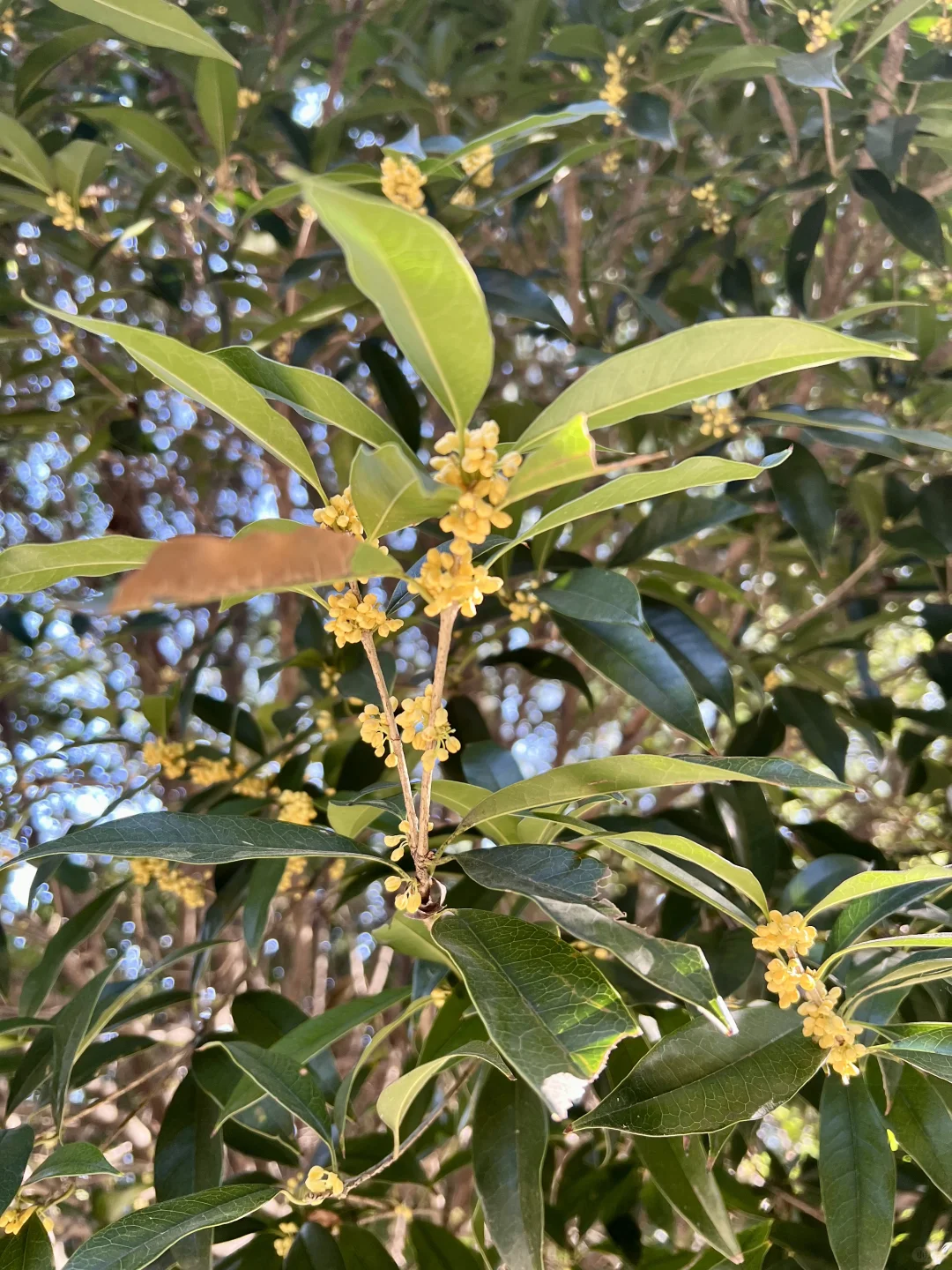 晨跑10km｜40岁坚持跑步的女人 到底有多迷人