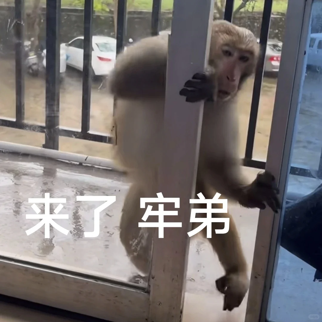 实用表情包合集