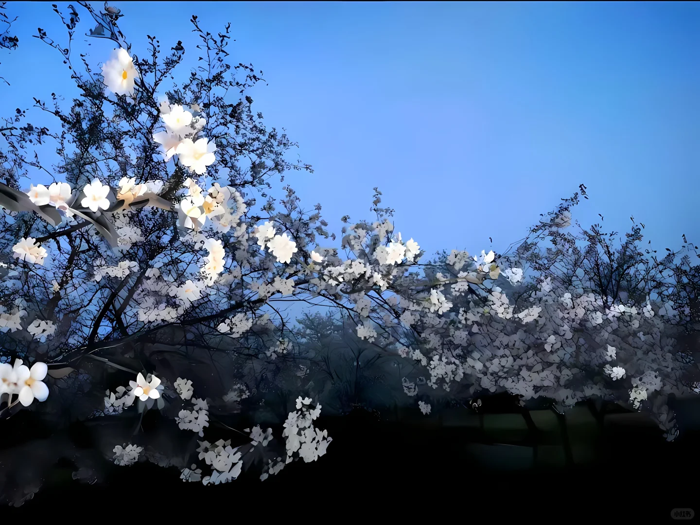 壁纸分享(电脑)