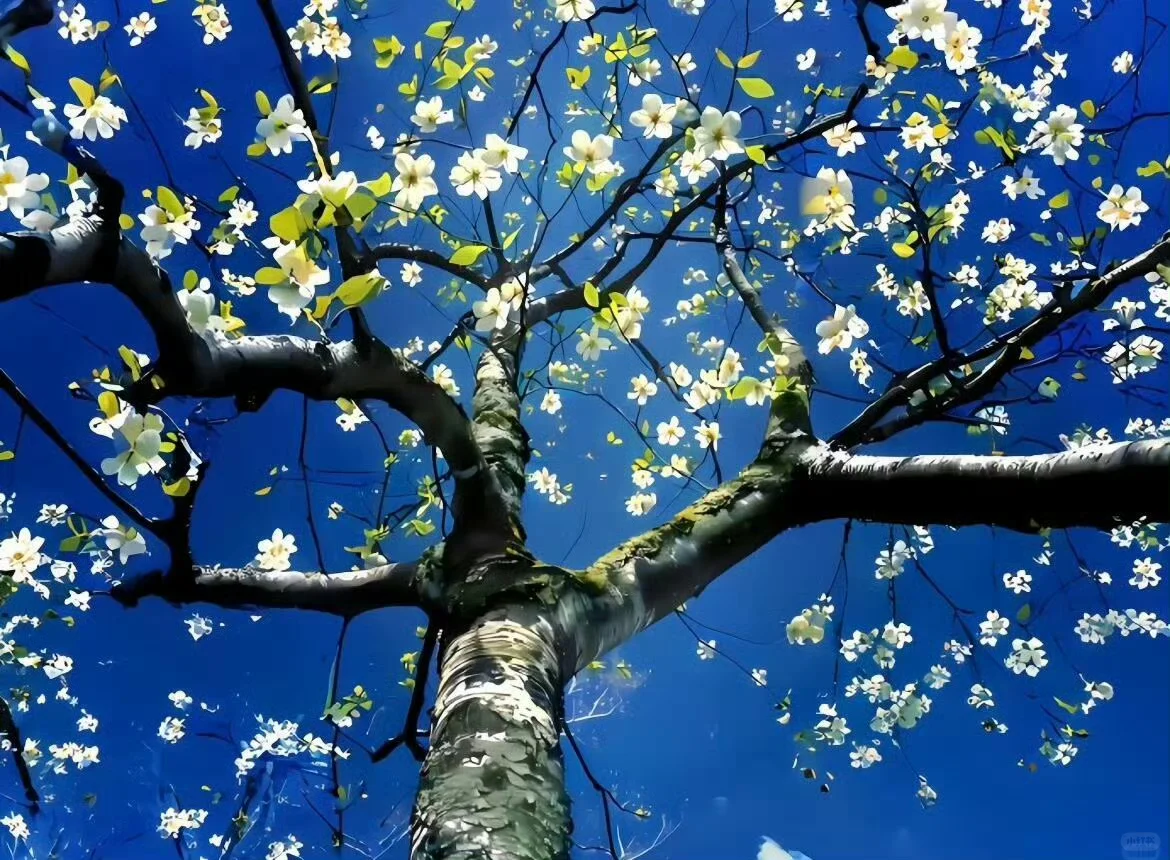 ipad电脑壁纸来啦~