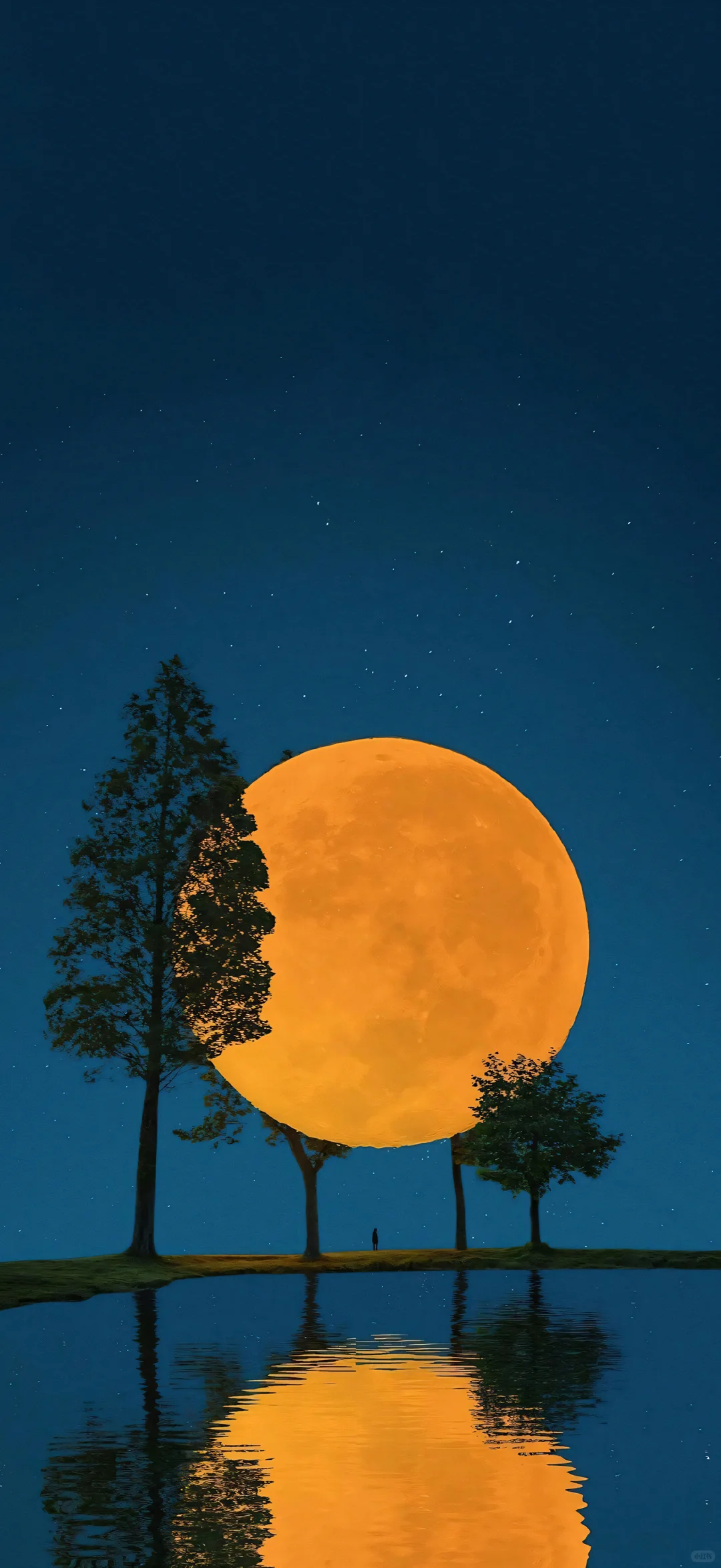 最喜欢的壁纸｜最美壁纸251121