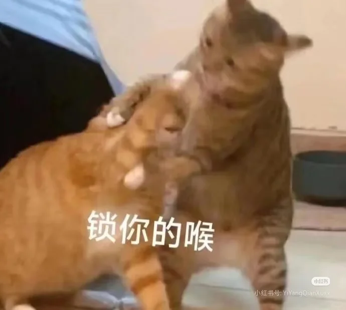 最上头的表情包！