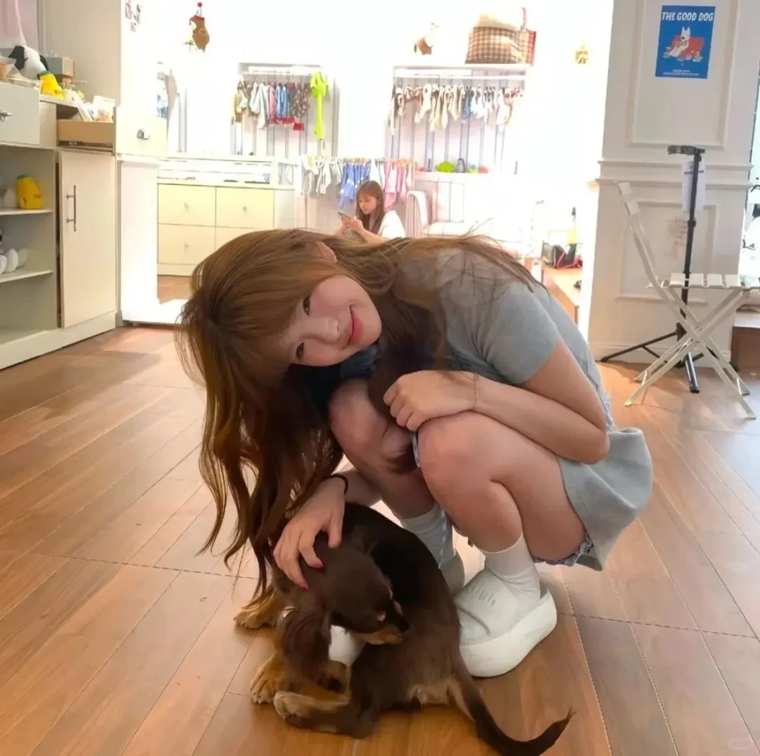 𝑾𝒆𝑪𝒉𝒂𝒕 女头｜10张