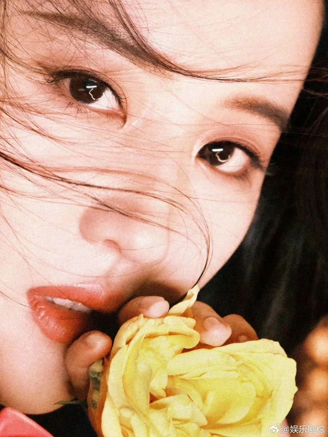 无水印壁纸，拿走不谢❤️点个赞即可