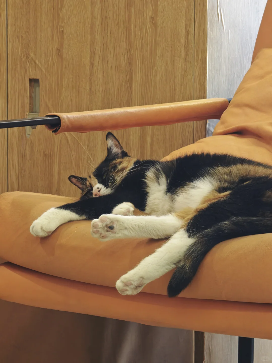 本周工作日最后一天运动打卡📸