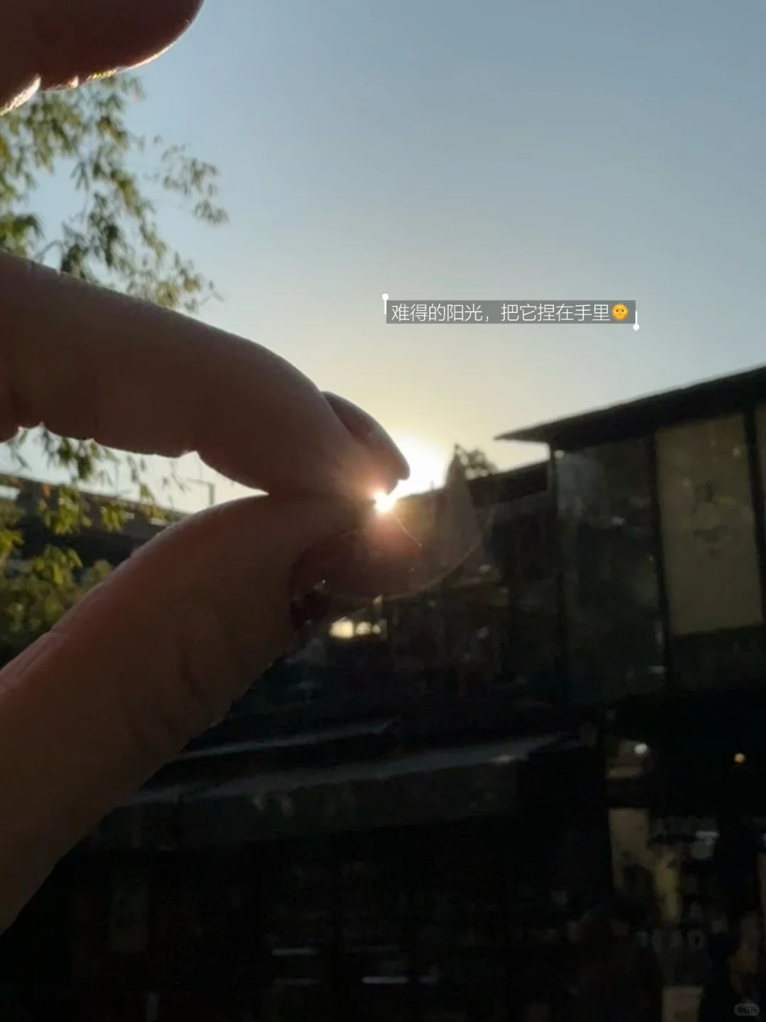 🀄️｜独立和不怕失去，才是女孩子最好的底牌