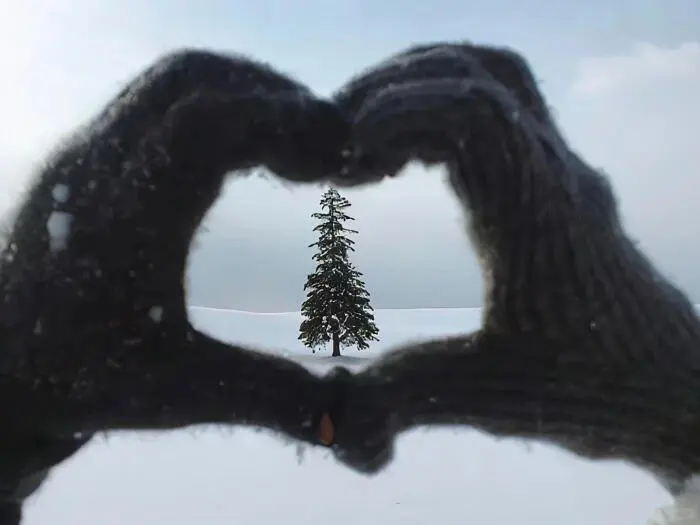 氛围感壁纸｜高级感十足的ipad壁纸