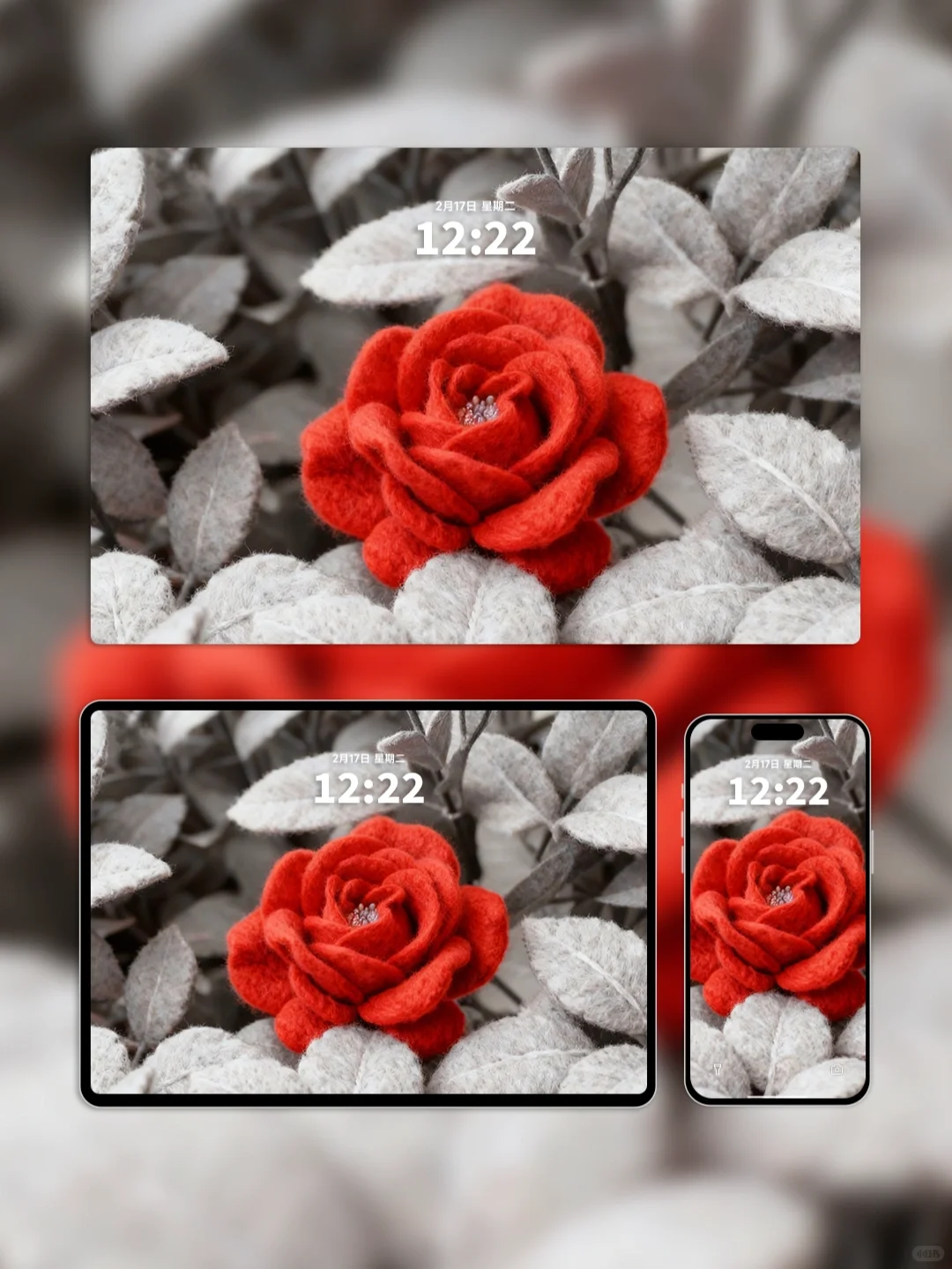 壁纸上新｜绯色绒语｜被问爆的羊毛毡玫瑰壁纸