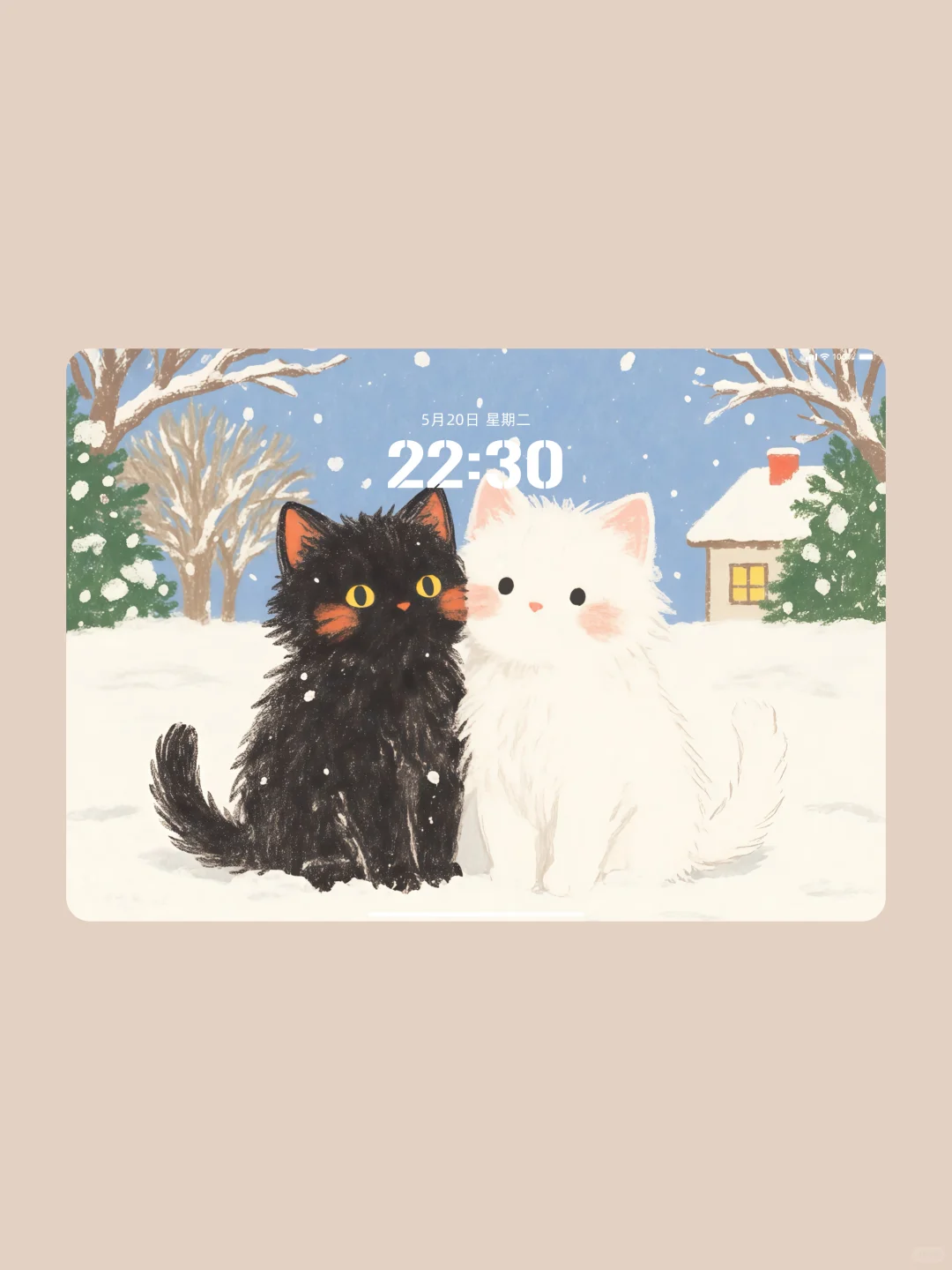 iPad平板壁纸•横竖通用 | 可爱猫咪•滑雪❄️