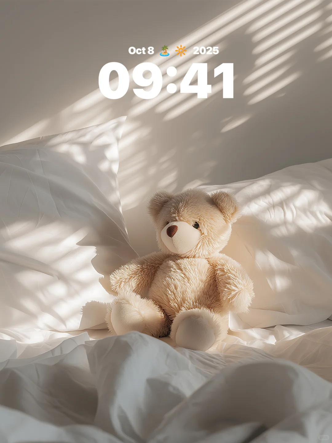 阳光吻过的泰迪早安熊🧸 | 治愈系壁纸