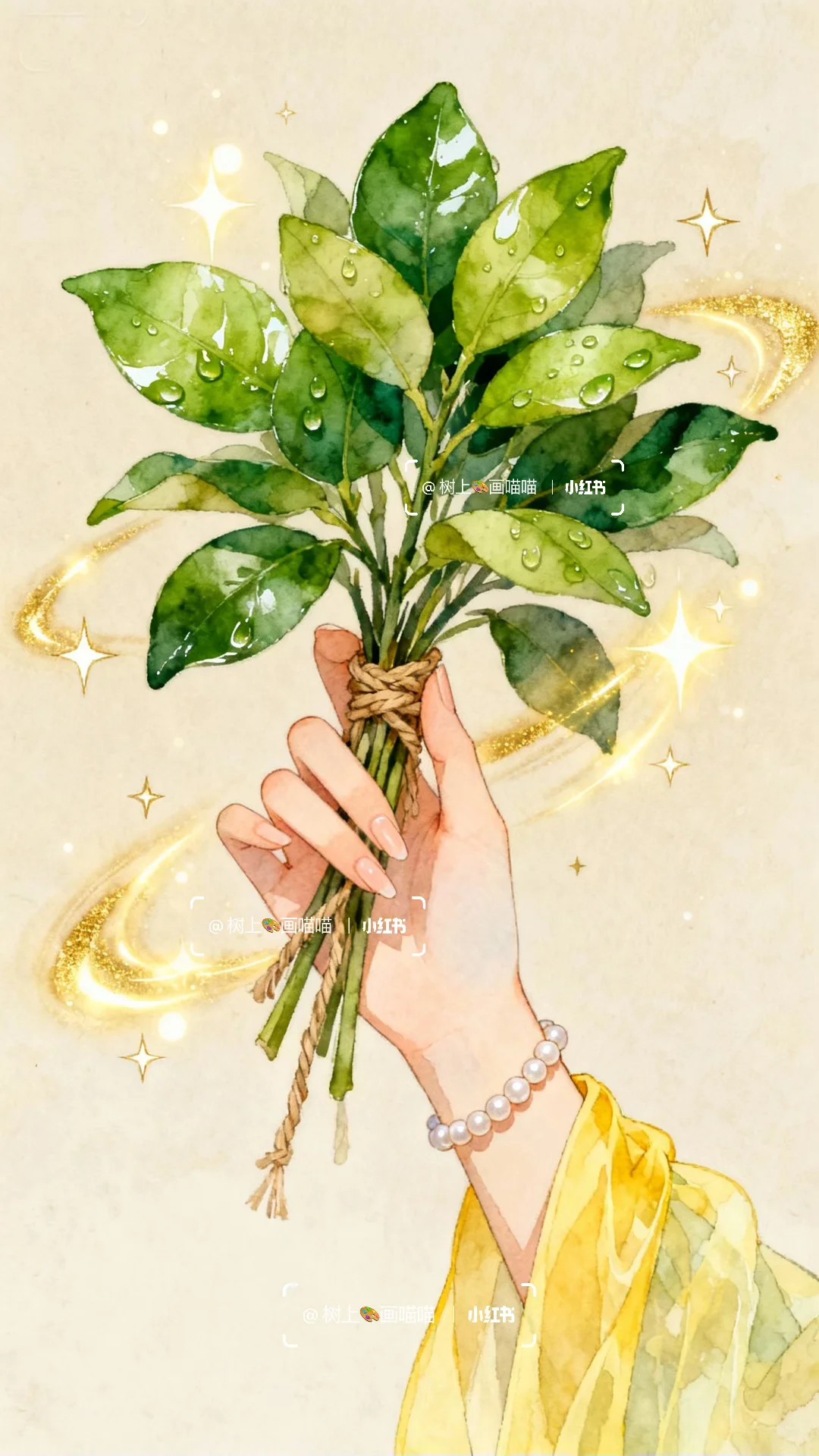 柚叶携运，向光而行