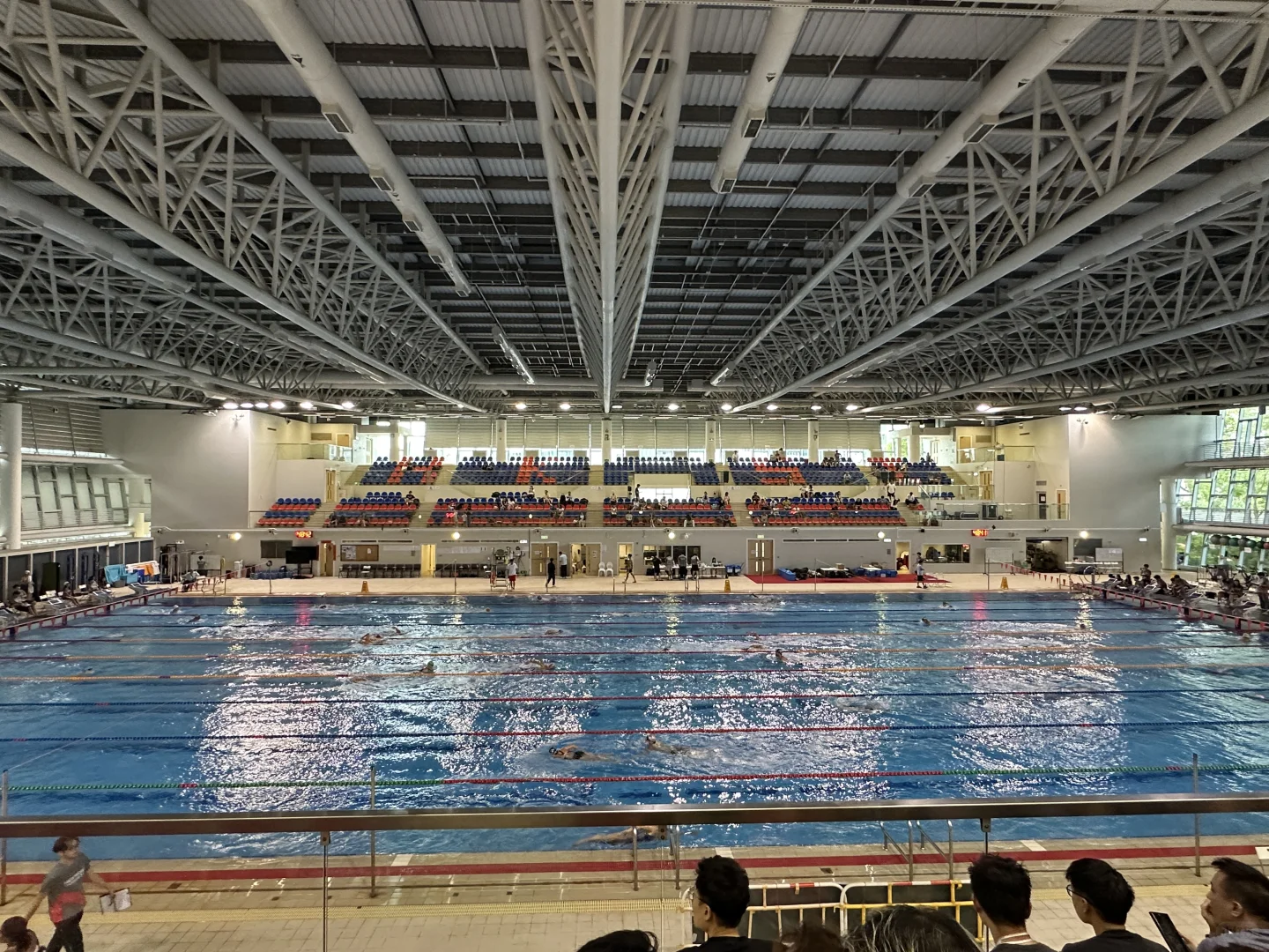 30+女律师，下半年全在赛场！维港泳我来了！