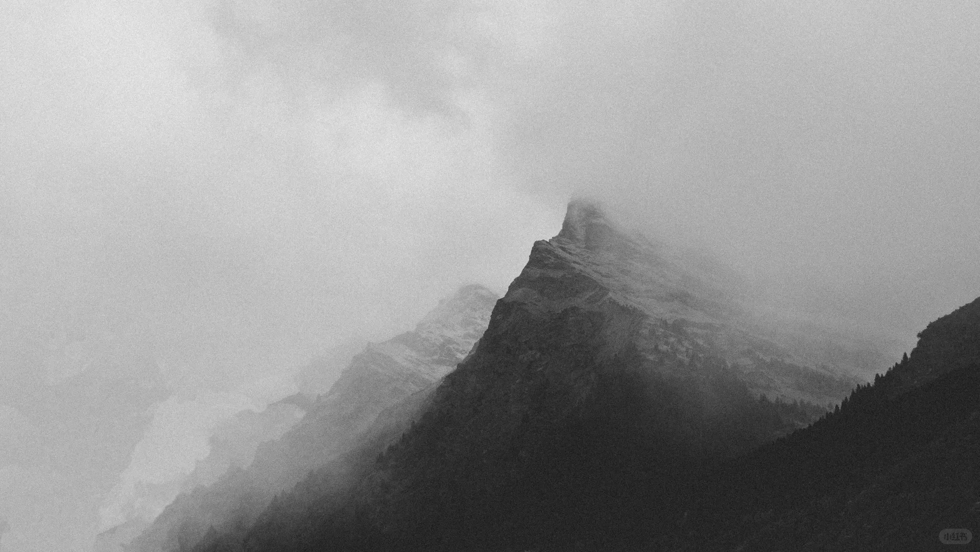 壁纸分享(电脑)