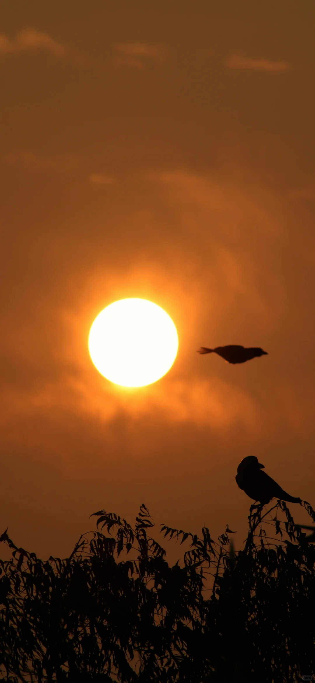 12张高清小众全屏壁纸