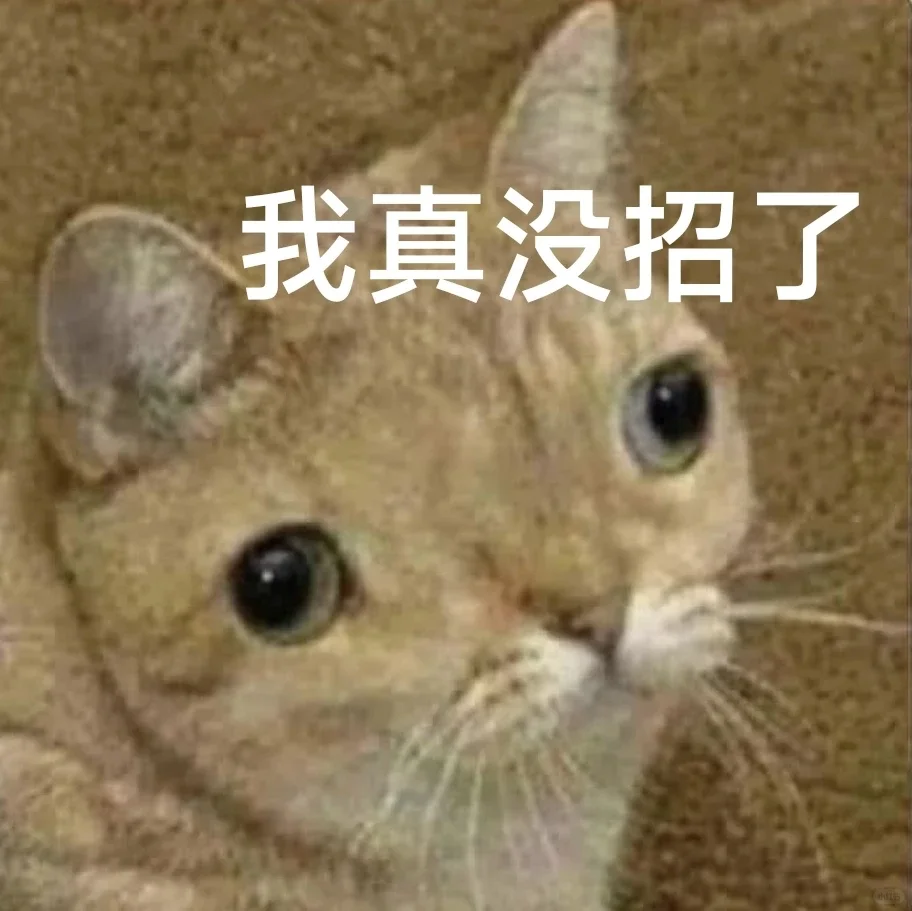 实用表情包合集