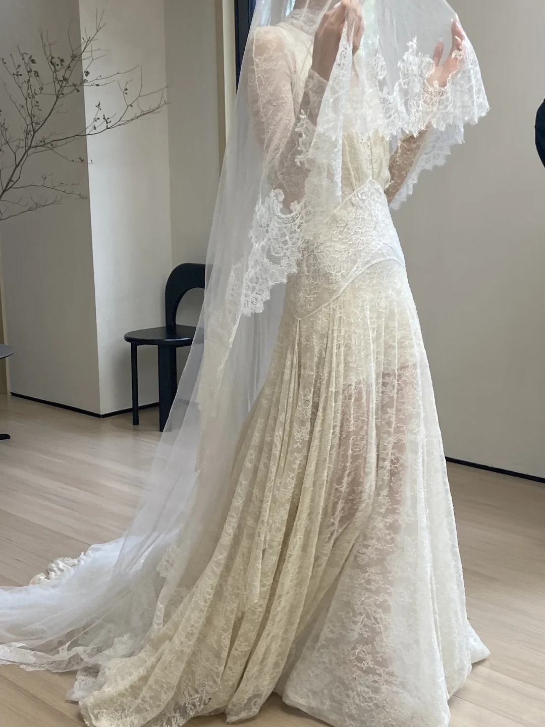 live下蕾丝的浪漫意向