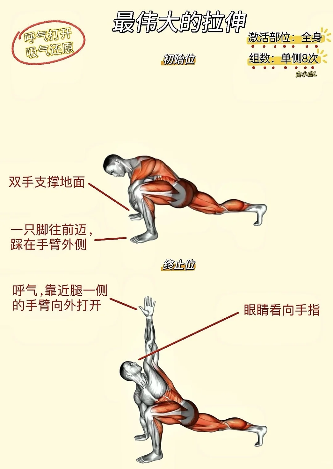 所以 健身练成这样算夸张吗?