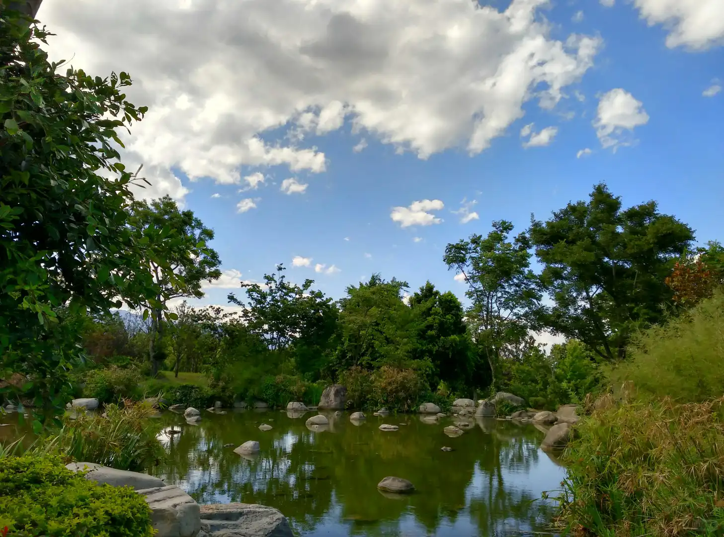 清晨浅浅跑个步