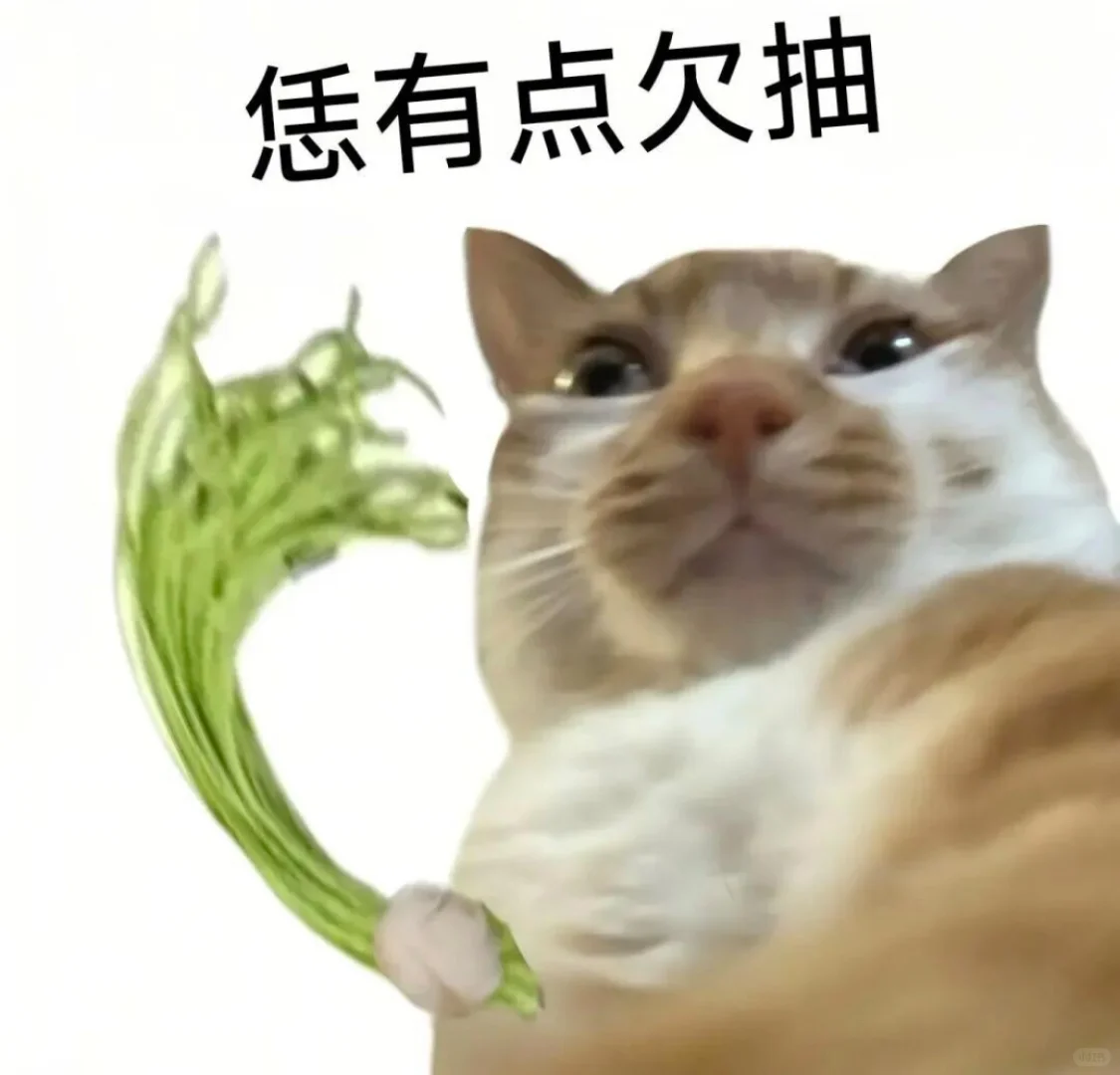 审美积累小众表情包第二弹✌️