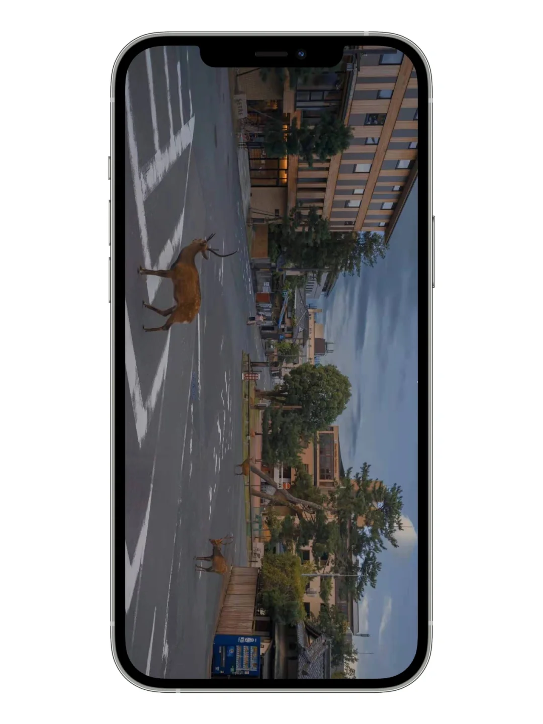 再来一波日系实拍壁纸～