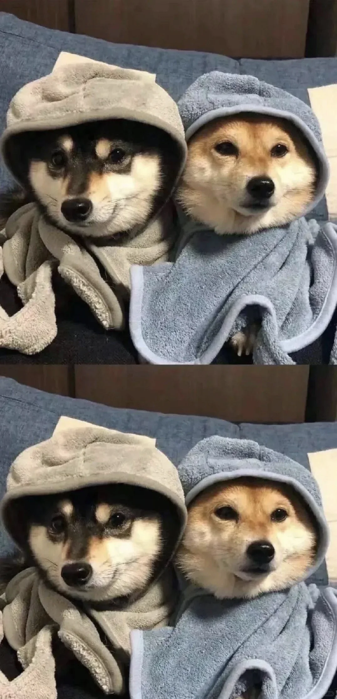 壁纸｜10万人想要蜡笔小新的壁纸