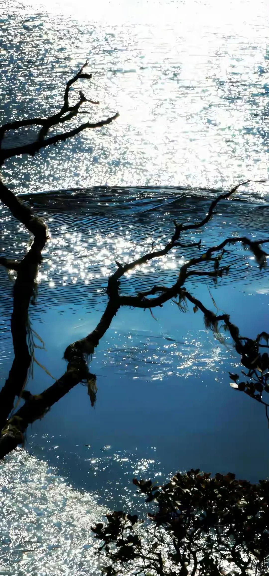 𝗦𝗵𝗮𝗿𝗲 |iPhone17 液态玻璃质感壁纸