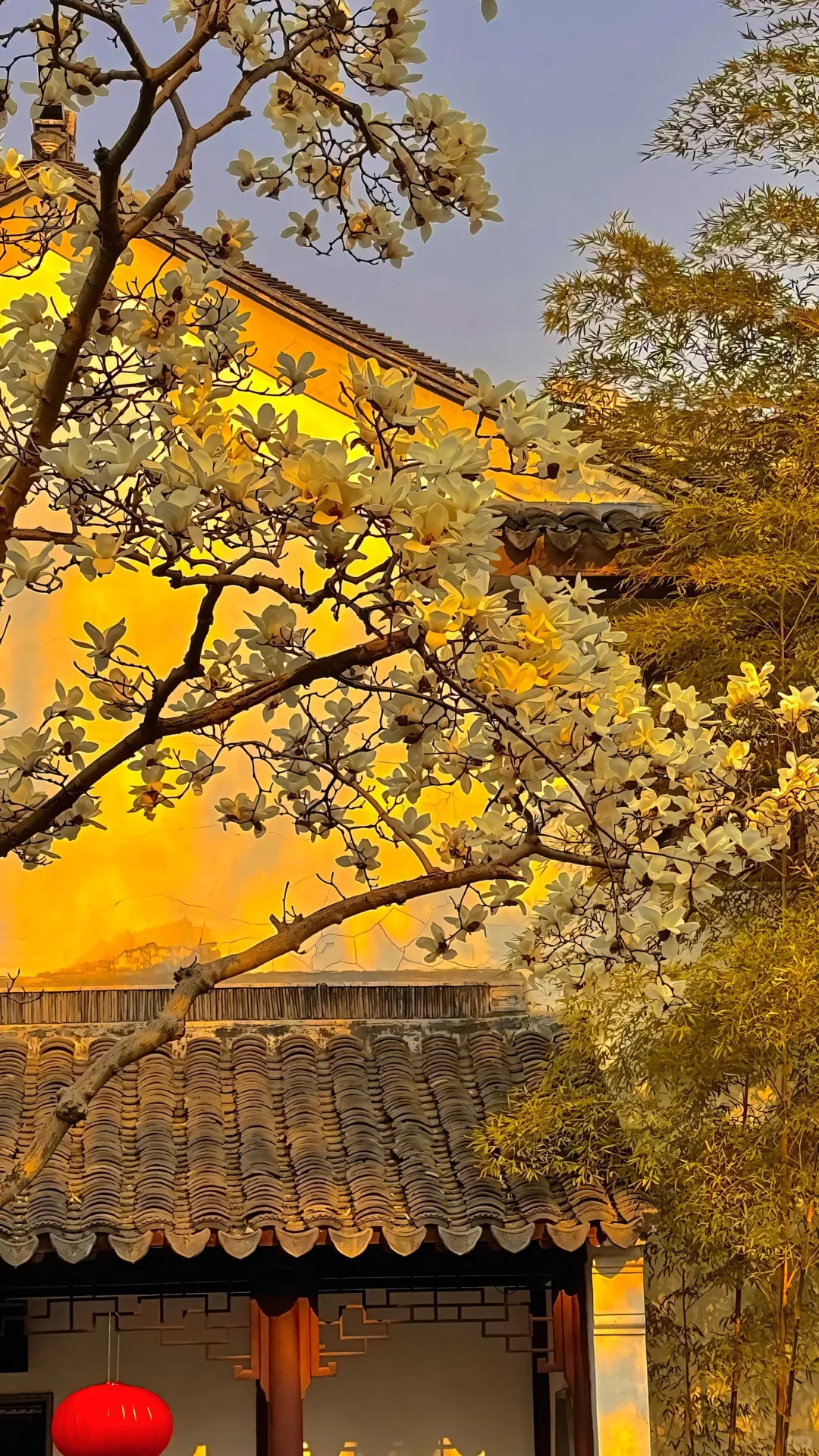 春有约 花不误 | 鲜花空间景深壁纸 54张