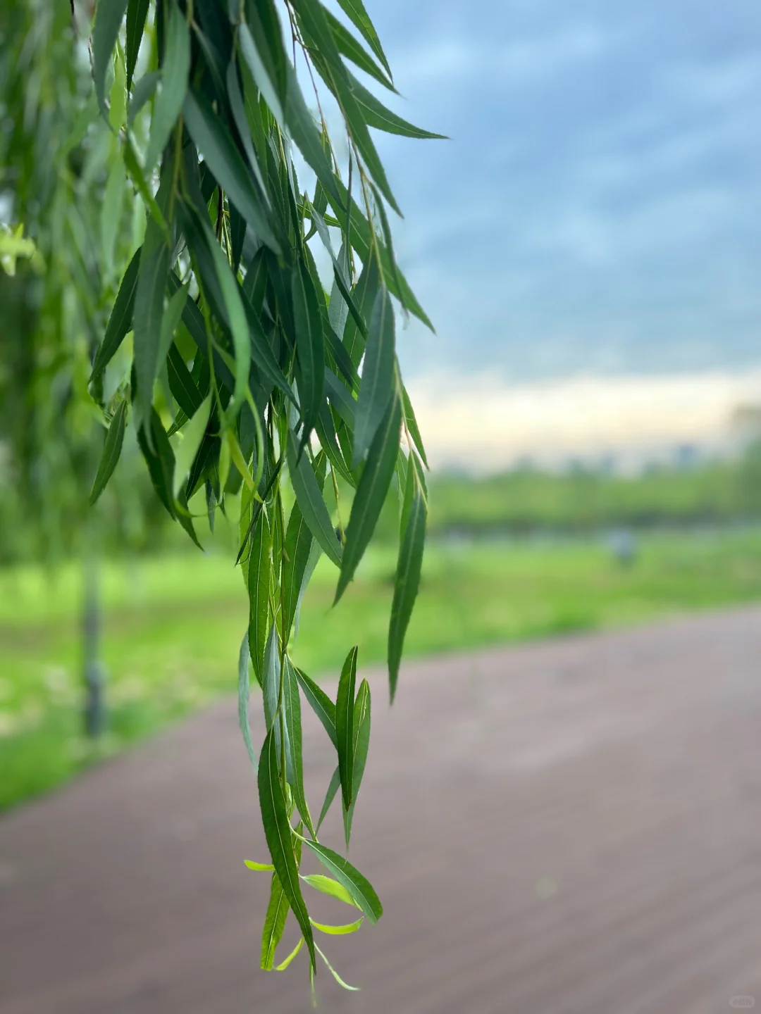 夏天 晨跑🏃‍♀️
