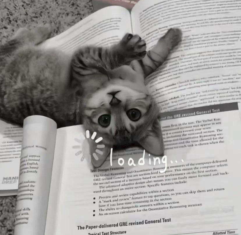 𝙒𝙚𝘾𝙝𝙖𝙩背景图｜小众小猫背景图