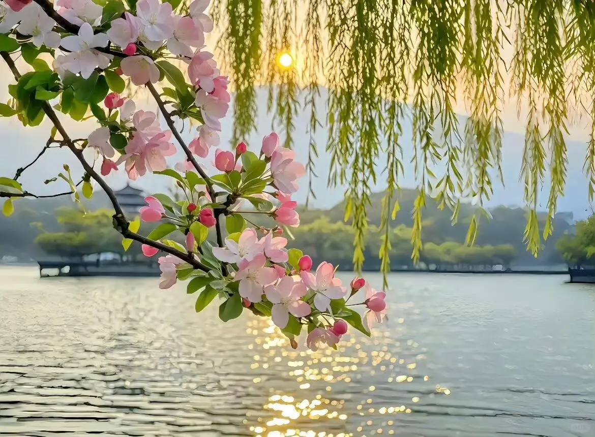 ipad电脑壁纸来啦~