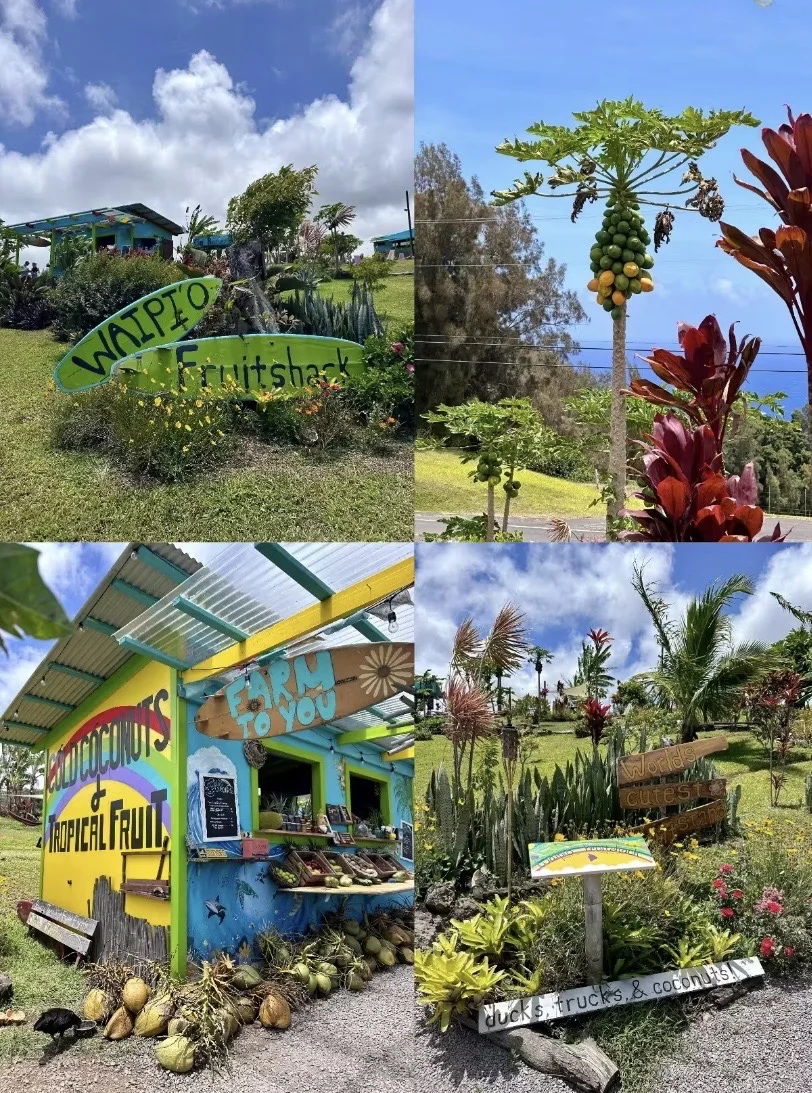 泳衣是给水灵灵的女生穿的吧