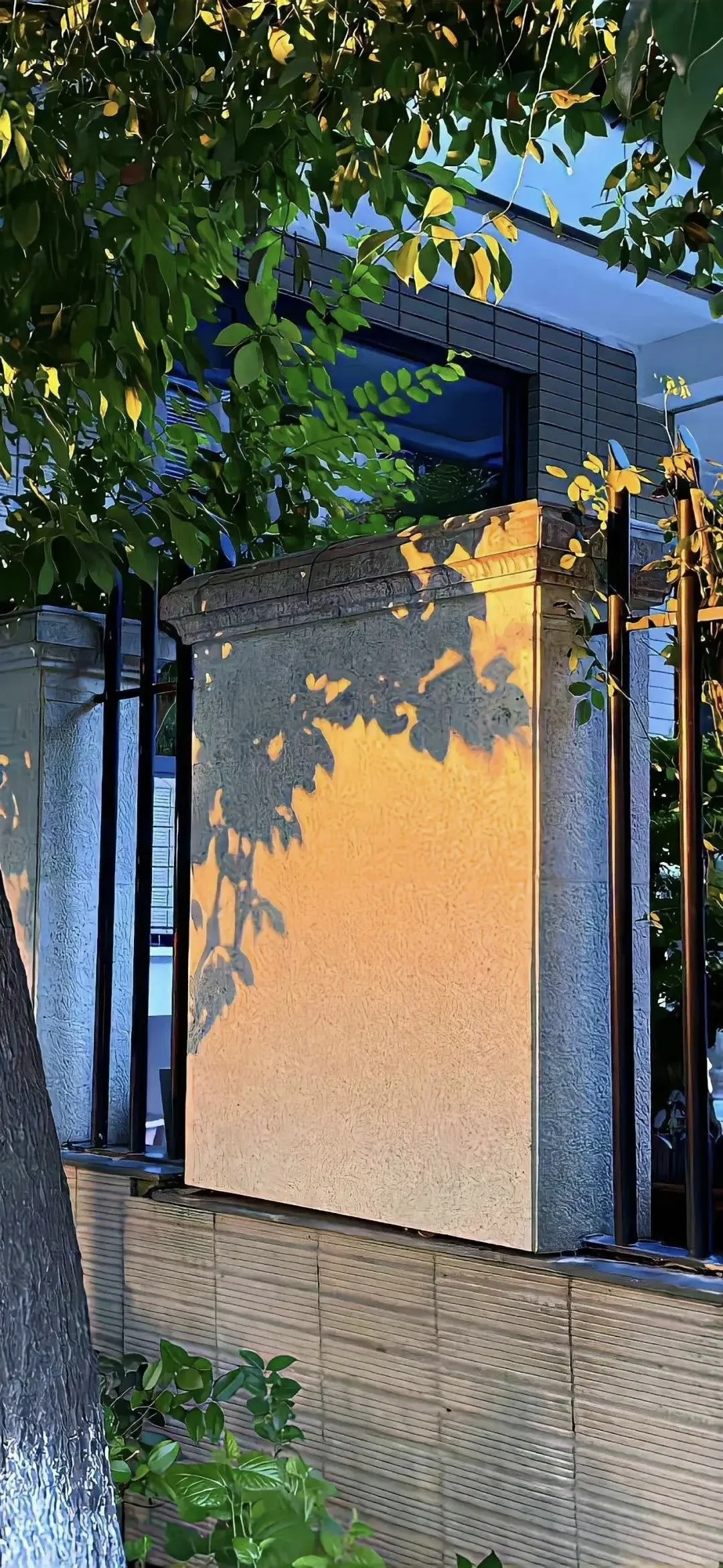 ins风小众氛围感壁纸分享:'