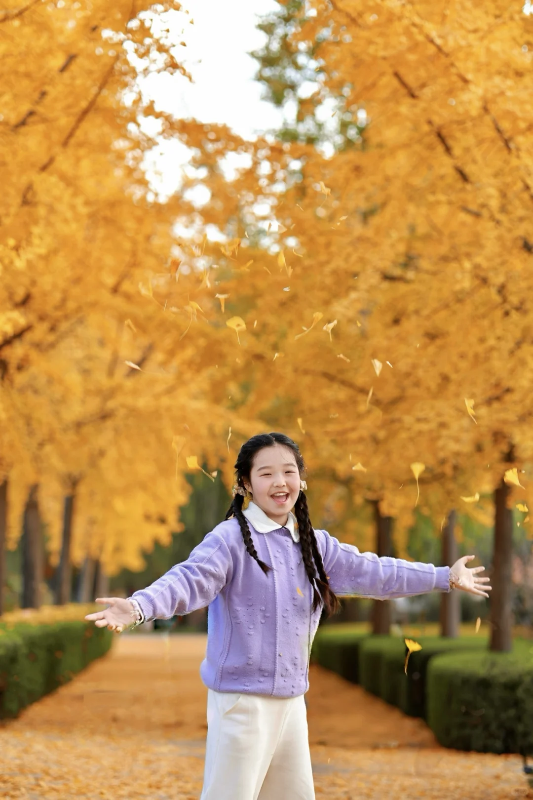洛阳约拍｜儿童秋日户外写真