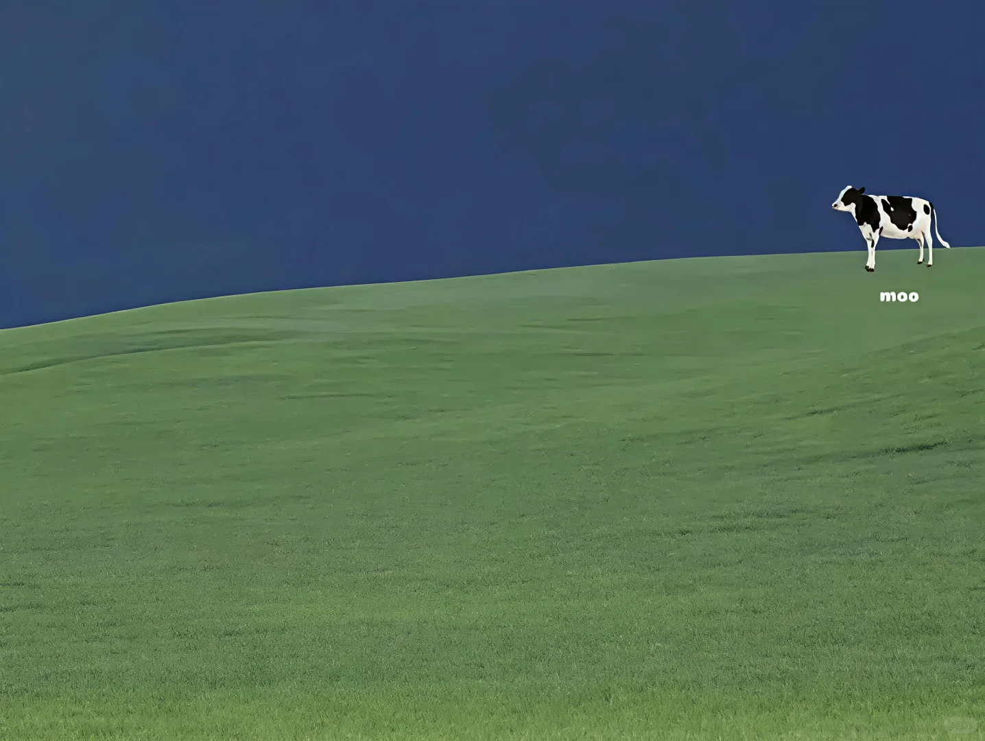 这么高清的平板壁纸确定不要？