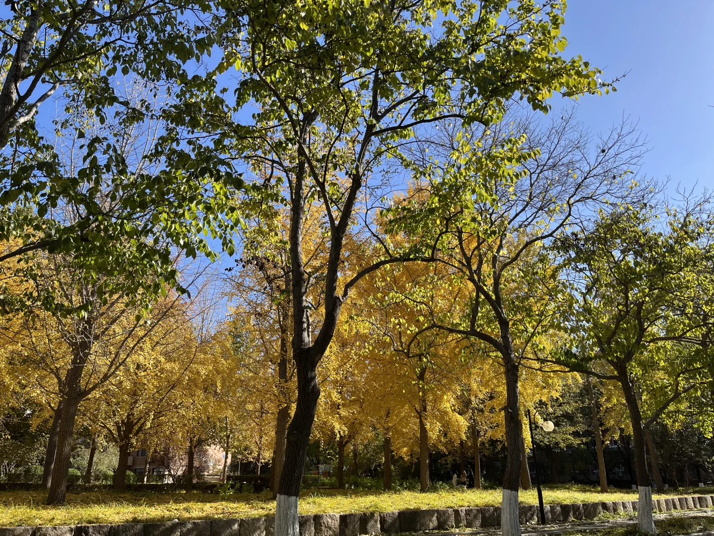 01女博三件好事｜规律游泳