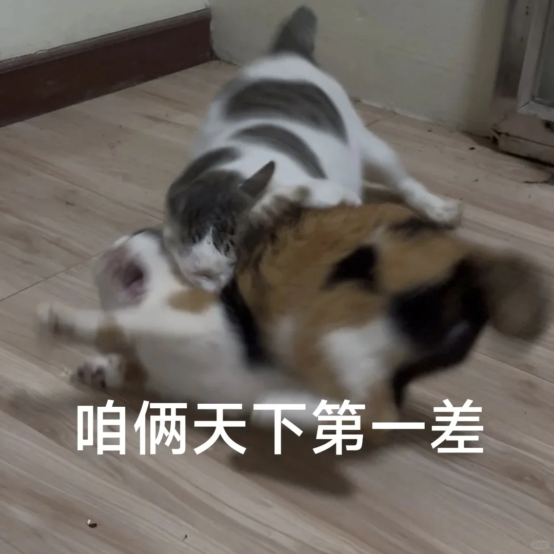 实用表情包合集