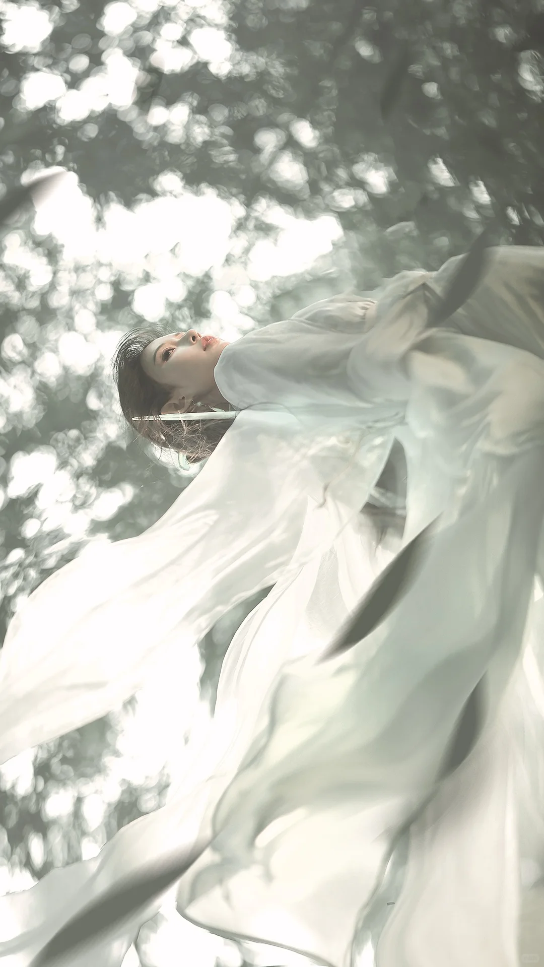 一袭青衣，竹林剑仙