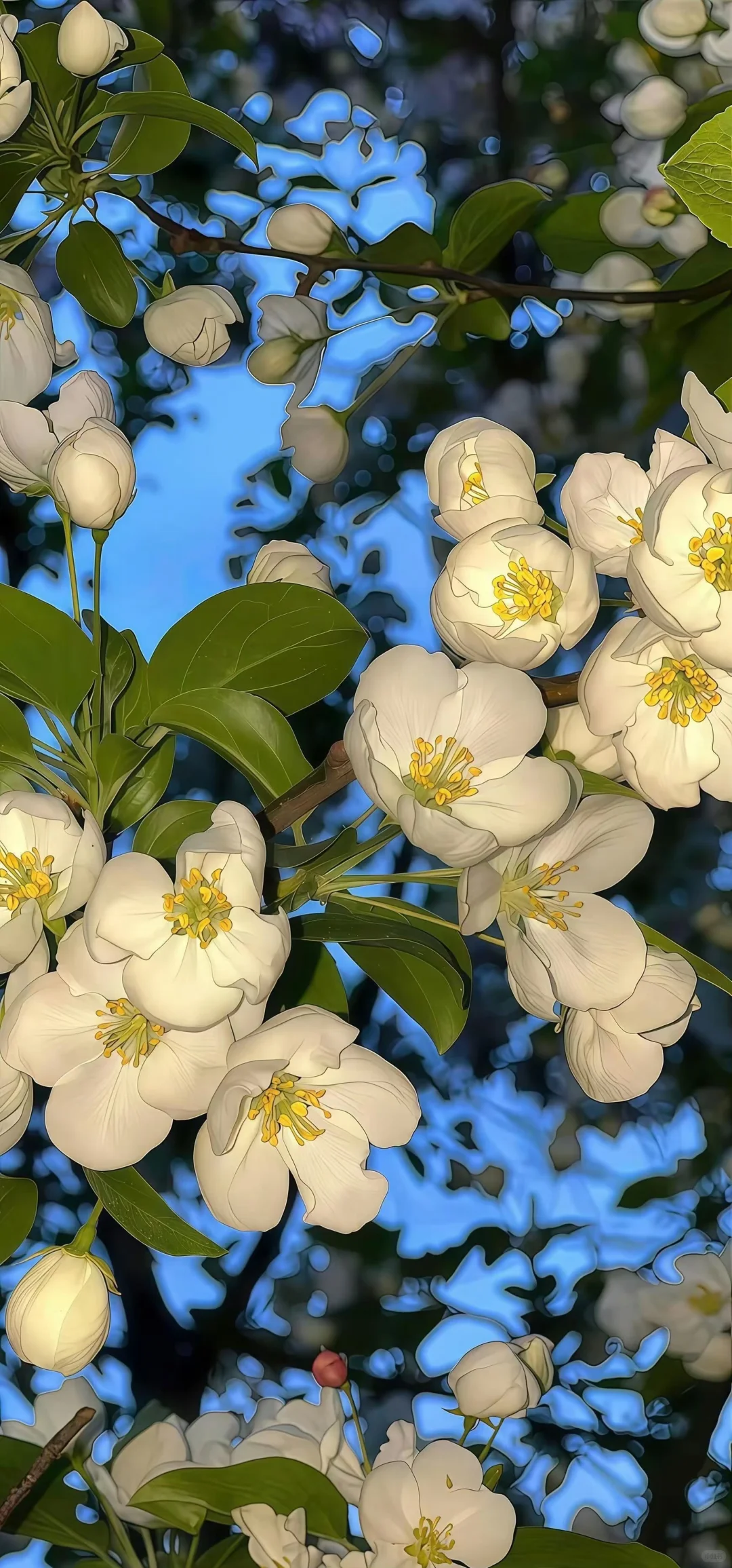 𝗦𝗵𝗮𝗿𝗲 |iPhone17 液态玻璃质感壁纸